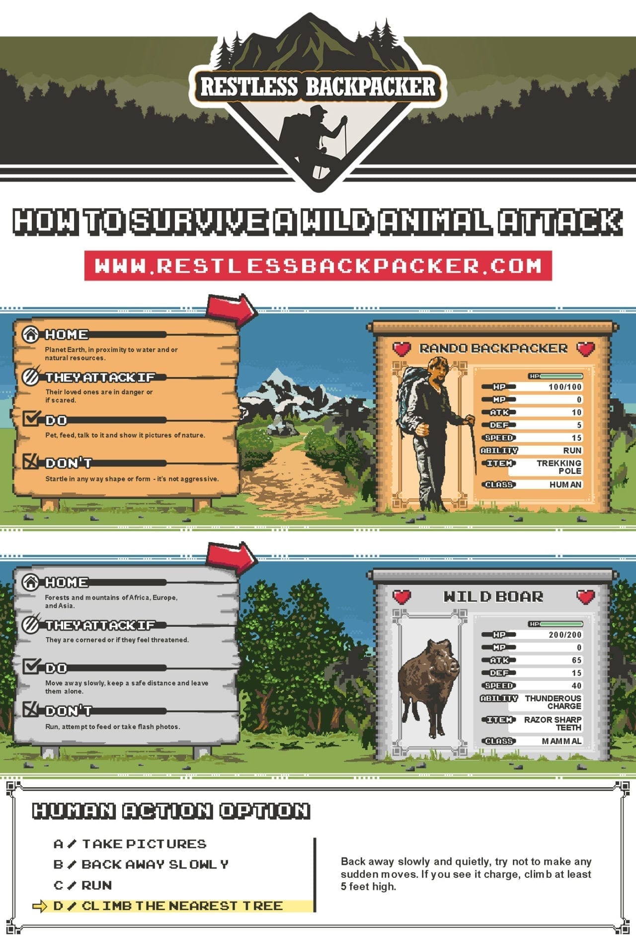 How to Survive a Wild Boar Attack | All You Need to Know